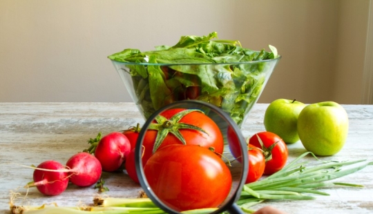 No solo pez globo: 12 productos "venenosos" en su mesa No solo pez globo: 12 productos "venenosos" en su mesa