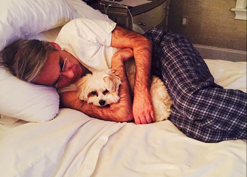 "No soy un amante de los perros": padres que no querían perros en absoluto "No soy un amante de los perros": padres que no querían perros en absoluto