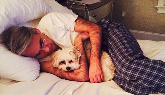 "No soy un amante de los perros": padres que no querían perros en absoluto "No soy un amante de los perros": padres que no querían perros en absoluto