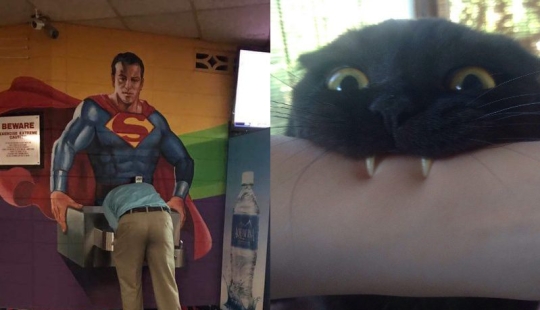 No todos los días se ve esto! 25 increíbles eventos y cosas, capturado en la foto No todos los días se ve esto! 25 increíbles eventos y cosas, capturado en la foto