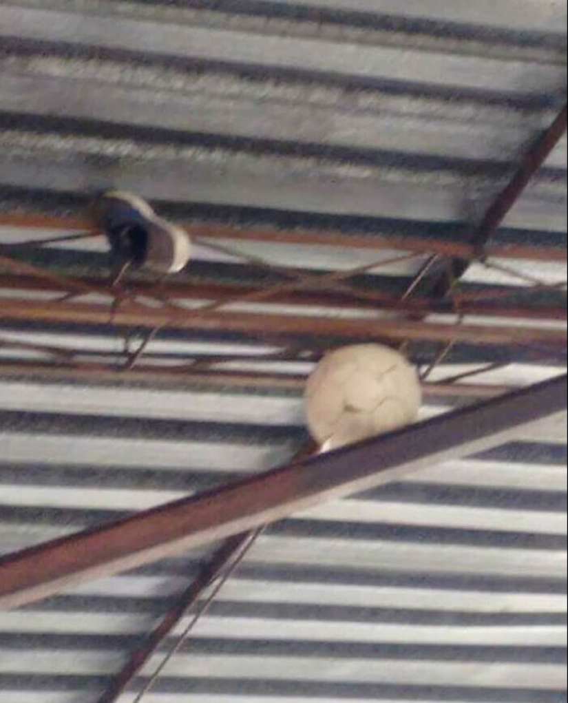 No words, some emotions! 35 of fails from people who had bad day No words, some emotions! 35 of fails from people who had bad day