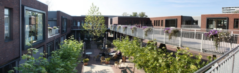 Normal form of the Dutch village where everyone suffers from dementia Normal form of the Dutch village where everyone suffers from dementia