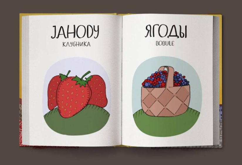 Not “crap”, but “game room”: a fun Czech-Russian picture dictionary Not “crap”, but “game room”: a fun Czech-Russian picture dictionary