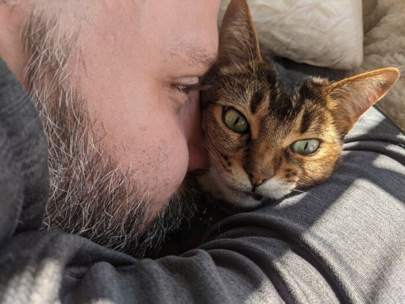 Now will Kus! 15 funny photos grumpy cat