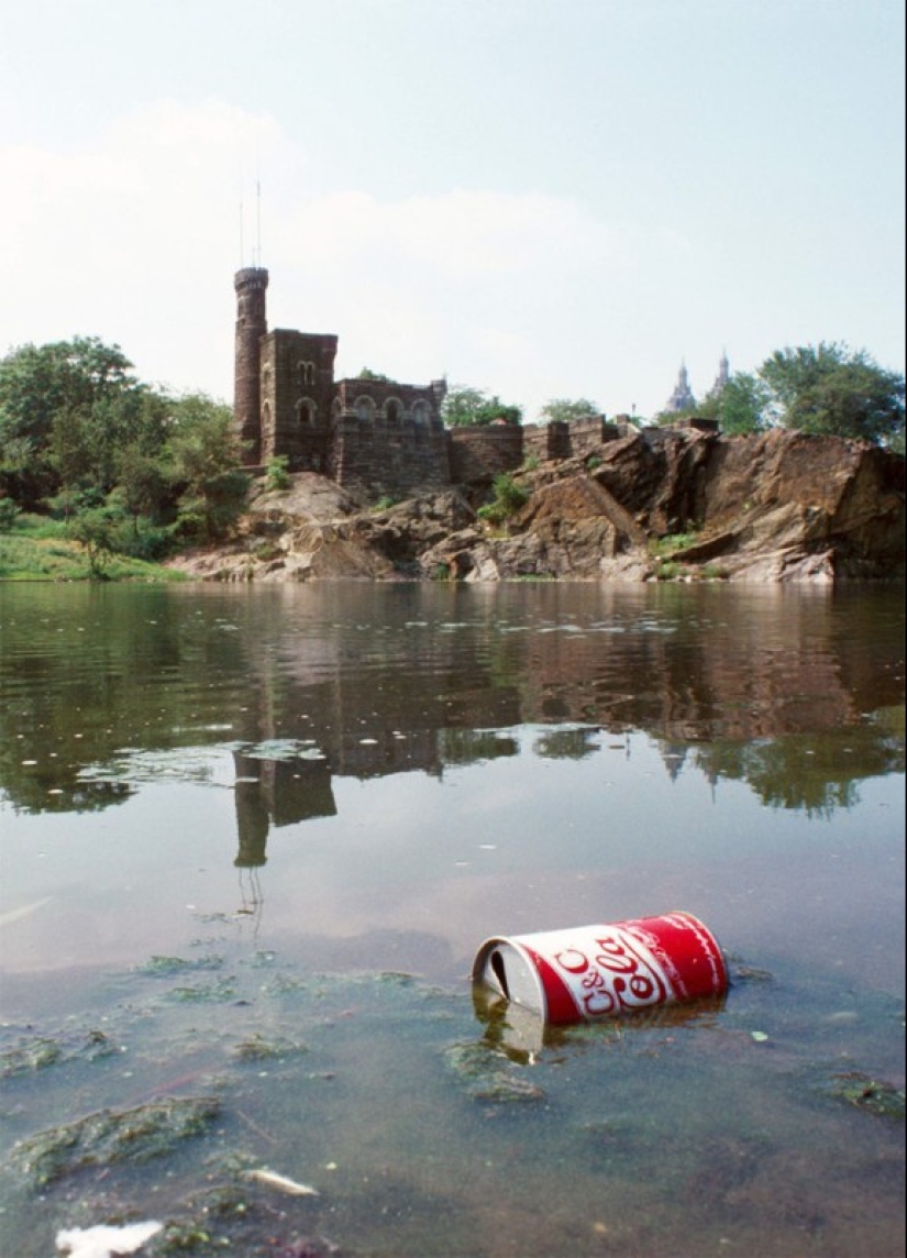 Nueva York, que aprendió sólo a partir de los 40 años Nueva York, que aprendió sólo a partir de los 40 años