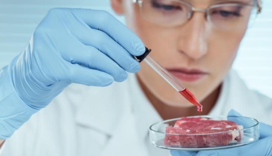 Nutrition of the near future: pasta from beetles, milk from algae and borscht from a printer