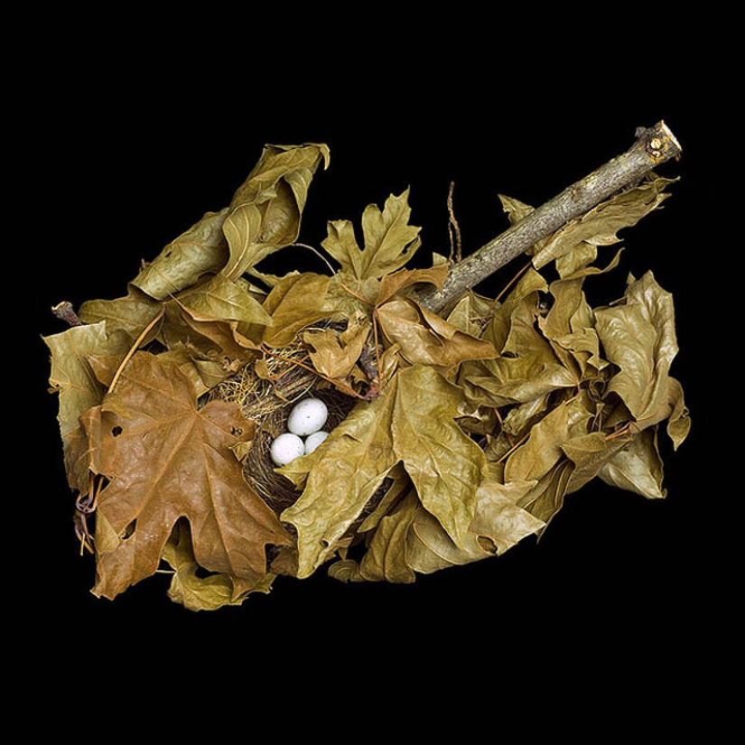 Obras maestras de la fotografía callejera: la vida real en cada imagen de los maestros