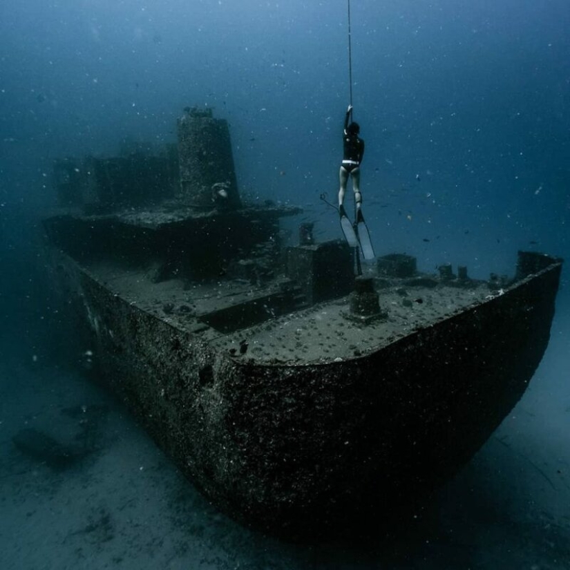 "Océano grande y azul" : un fotógrafo apneista mostró una increíble serie de tomas submarinas