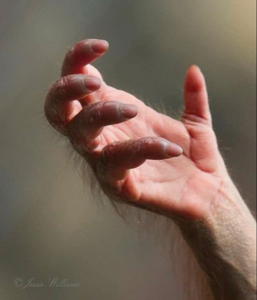 ¡Oh, este maravilloso mundo! 22 fotos interesantes de cosas y fenómenos inusuales