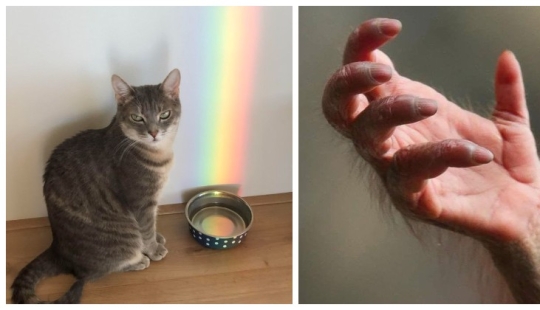 Oh, this wonderful world! 22 interesting photos of unusual things and phenomena