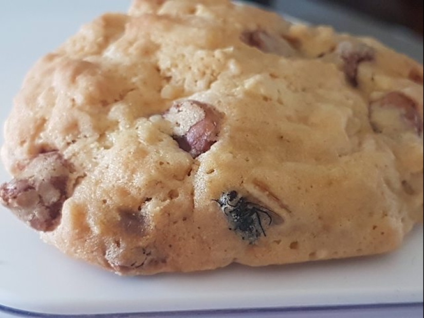 On the wrong foot: 20 photos of people whose day started not very well