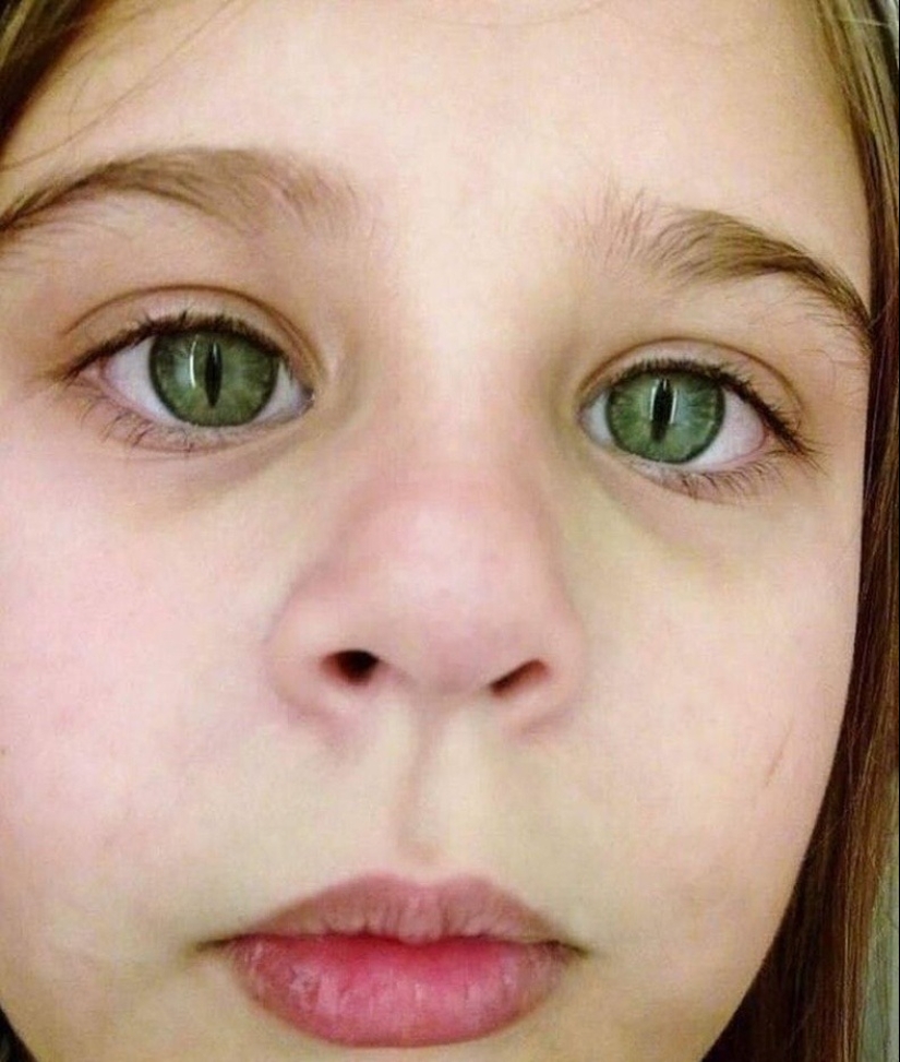 On this beautiful world: 22 strange findings that will amaze you On this beautiful world: 22 strange findings that will amaze you