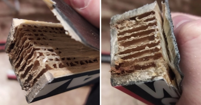 Once and in half! 22 photos of familiar things in the section