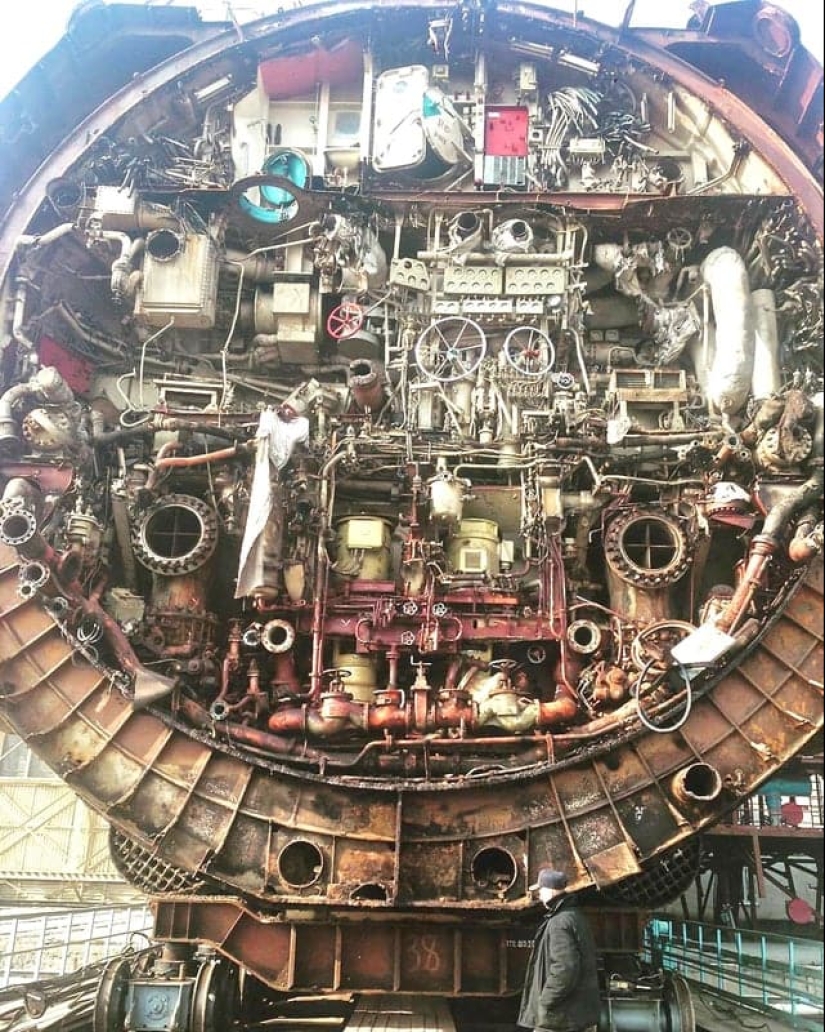 Once and in half! 22 photos of familiar things in the section