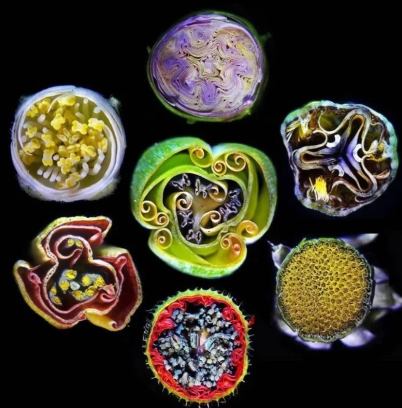 Once and in half! 22 photos of familiar things in the section