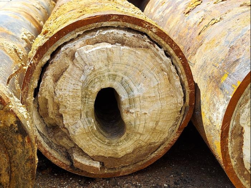 Once and in half! 22 photos of familiar things in the section