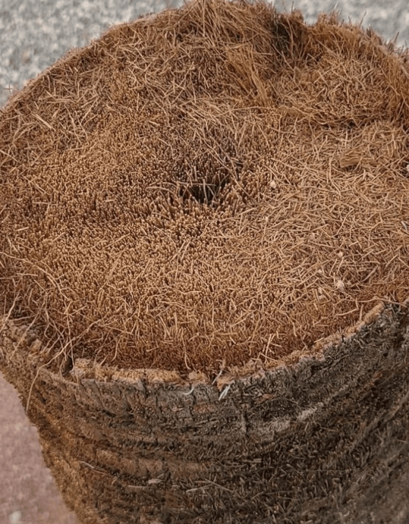 Once and in half! 22 photos of familiar things in the section