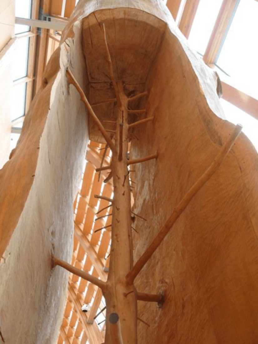 Once and in half! 22 photos of familiar things in the section