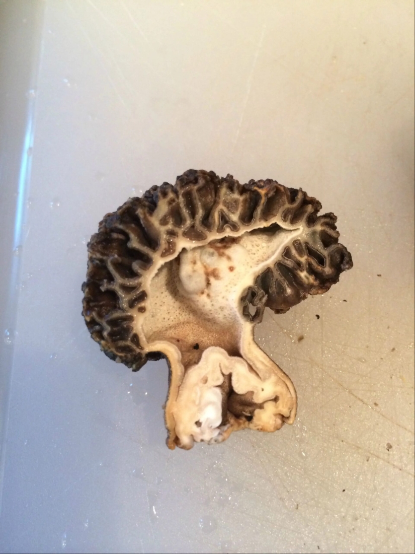 Once and in half! 22 photos of familiar things in the section