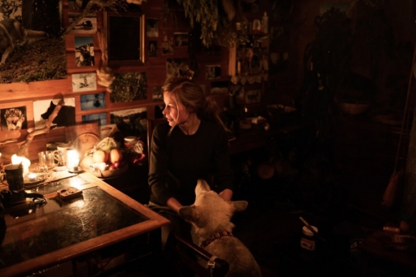 One day in the life of polar recluse