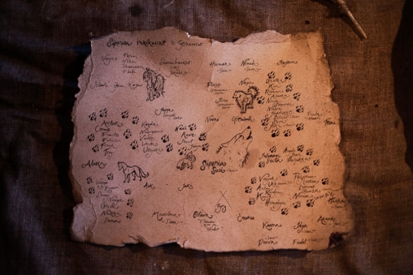 One day in the life of polar recluse