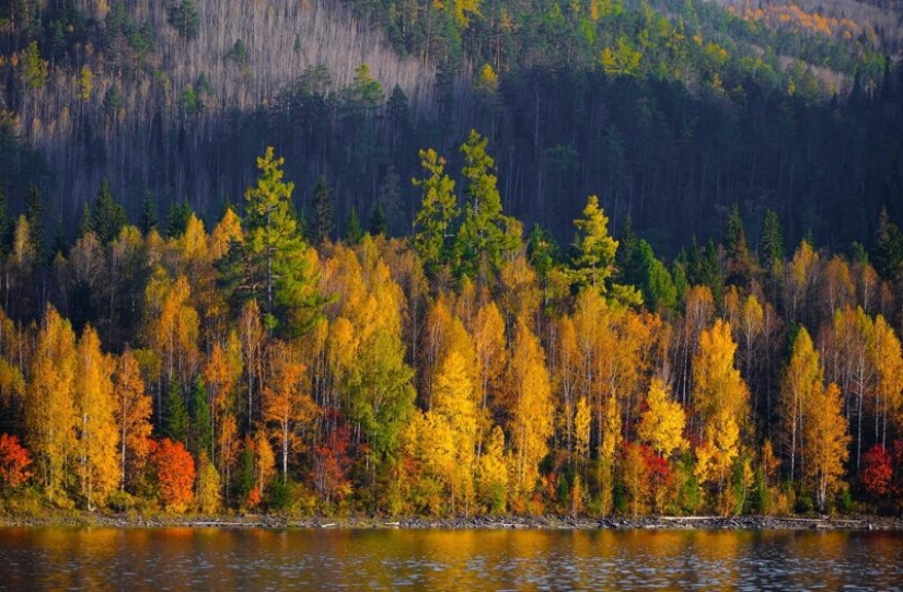 Otoño dorado en fotos de diferentes partes de Rusia Otoño dorado en fotos de diferentes partes de Rusia