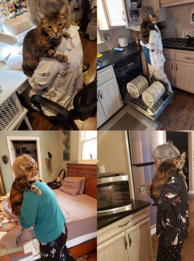 Otra porción de mimetismo que levantará tu estado de ánimo Otra porción de mimetismo que levantará tu estado de ánimo