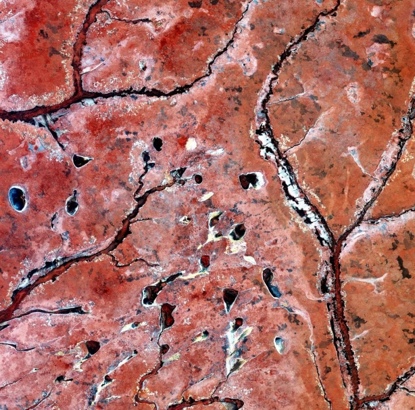 Our beautiful planet from orbit Our beautiful planet from orbit