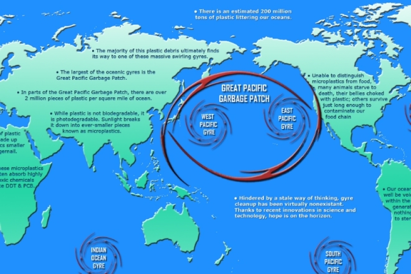 Pacific garbage patch: huge island of trash the size of France