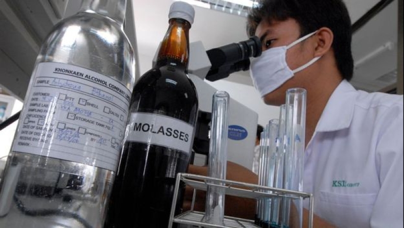 Palm oil exposed: World Health Organization report