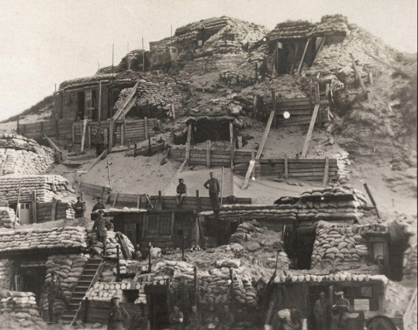 Palomas y máscaras de gas: el otro lado de la Primera Guerra Mundial Palomas y máscaras de gas: el otro lado de la Primera Guerra Mundial