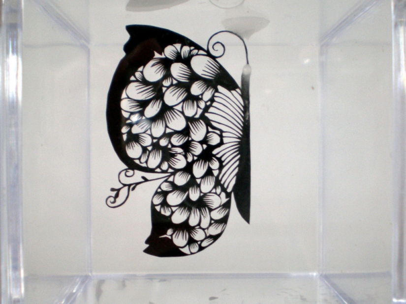 Paper lace by Hina Aoyama Paper lace by Hina Aoyama