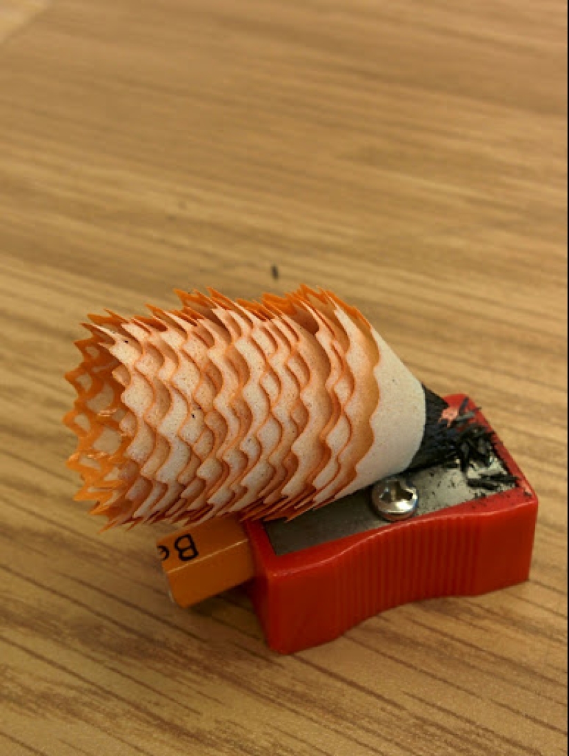 Para el deleite de los perfeccionistas: 22 fotos en las que TODO está bien