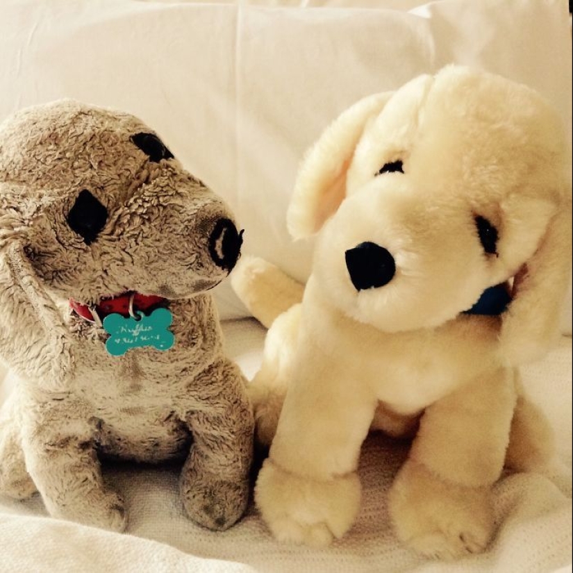 Pasado vs presente: juguetes idénticos con una diferencia de edad de más de 25 años