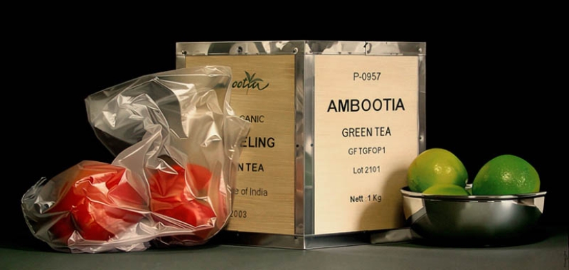 Pedro Campos y sus pinturas al óleo, al igual que las fotos Pedro Campos y sus pinturas al óleo, al igual que las fotos