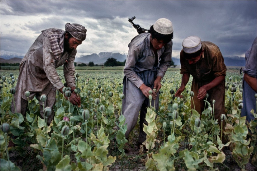 People at work: photo by Steve McCurry People at work: photo by Steve McCurry
