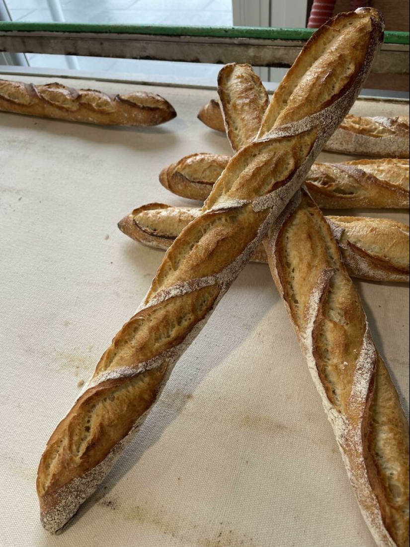 People share photos of almost perfect food, here are the 50 most beautiful People share photos of almost perfect food, here are the 50 most beautiful