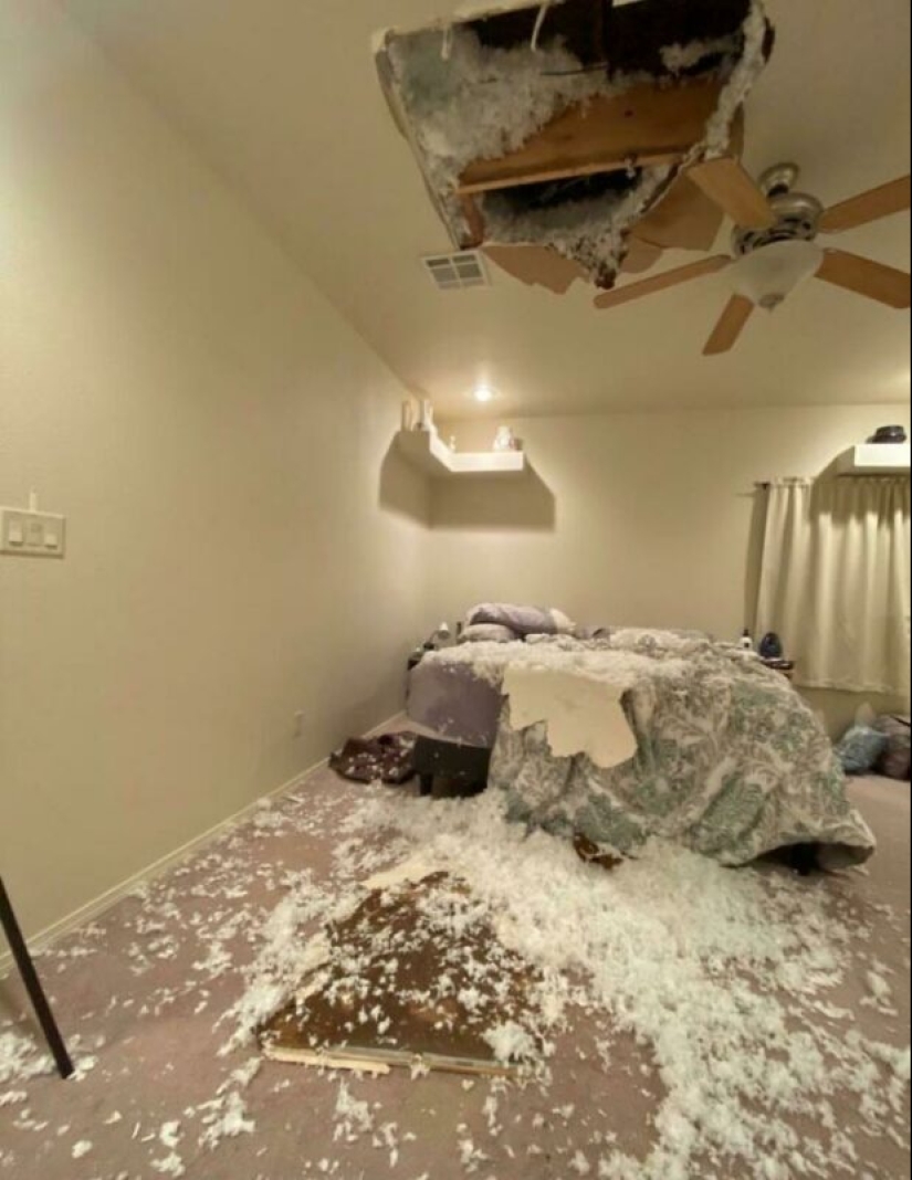 People showed their bad day. And they are really sorry People showed their bad day. And they are really sorry