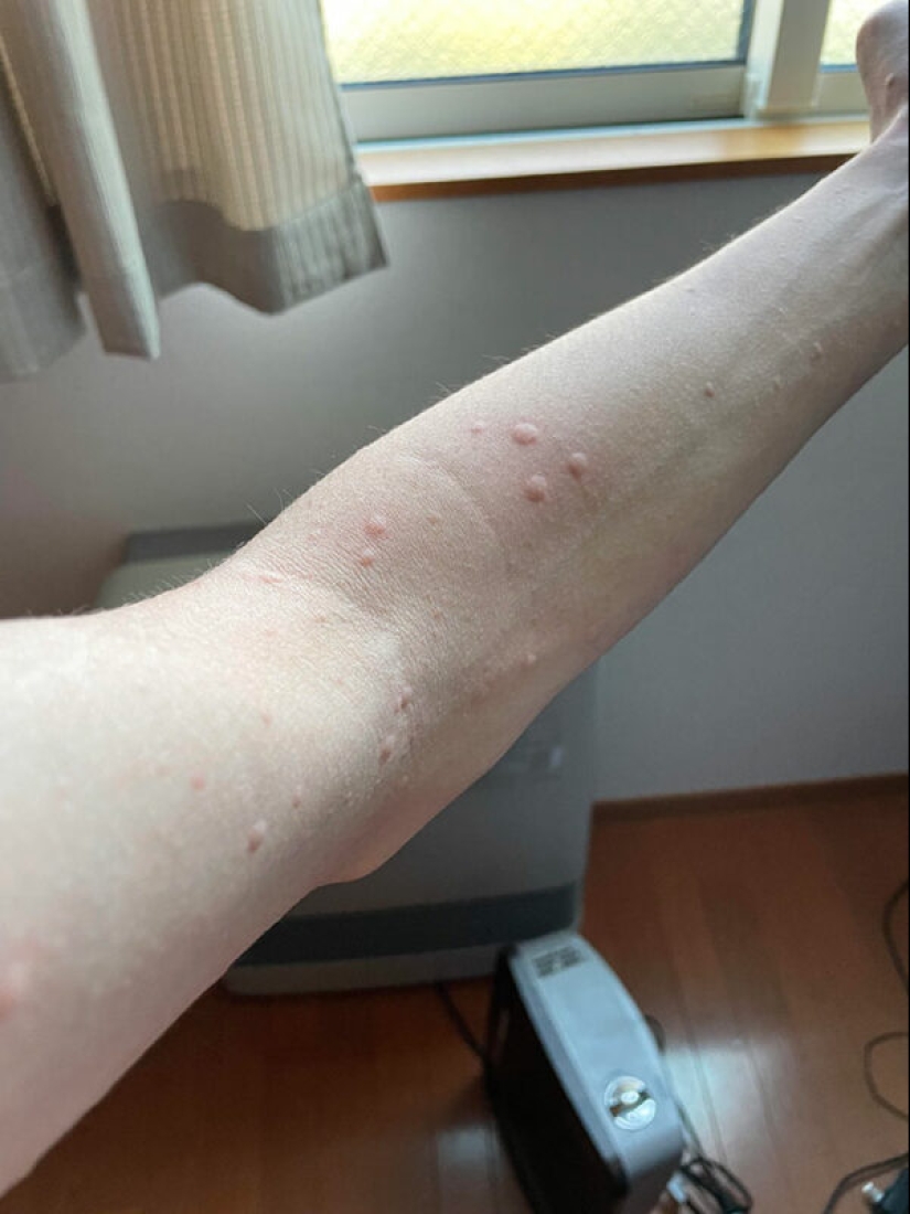 People showed their bad day. And they are really sorry People showed their bad day. And they are really sorry