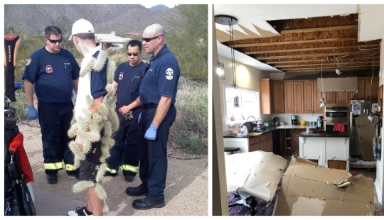 People showed their bad day. And they are really sorry