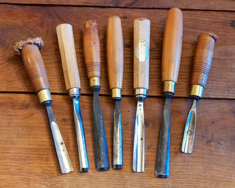 Perfect minimalism: cute animals, striking in its elegance Perfect minimalism: cute animals, striking in its elegance