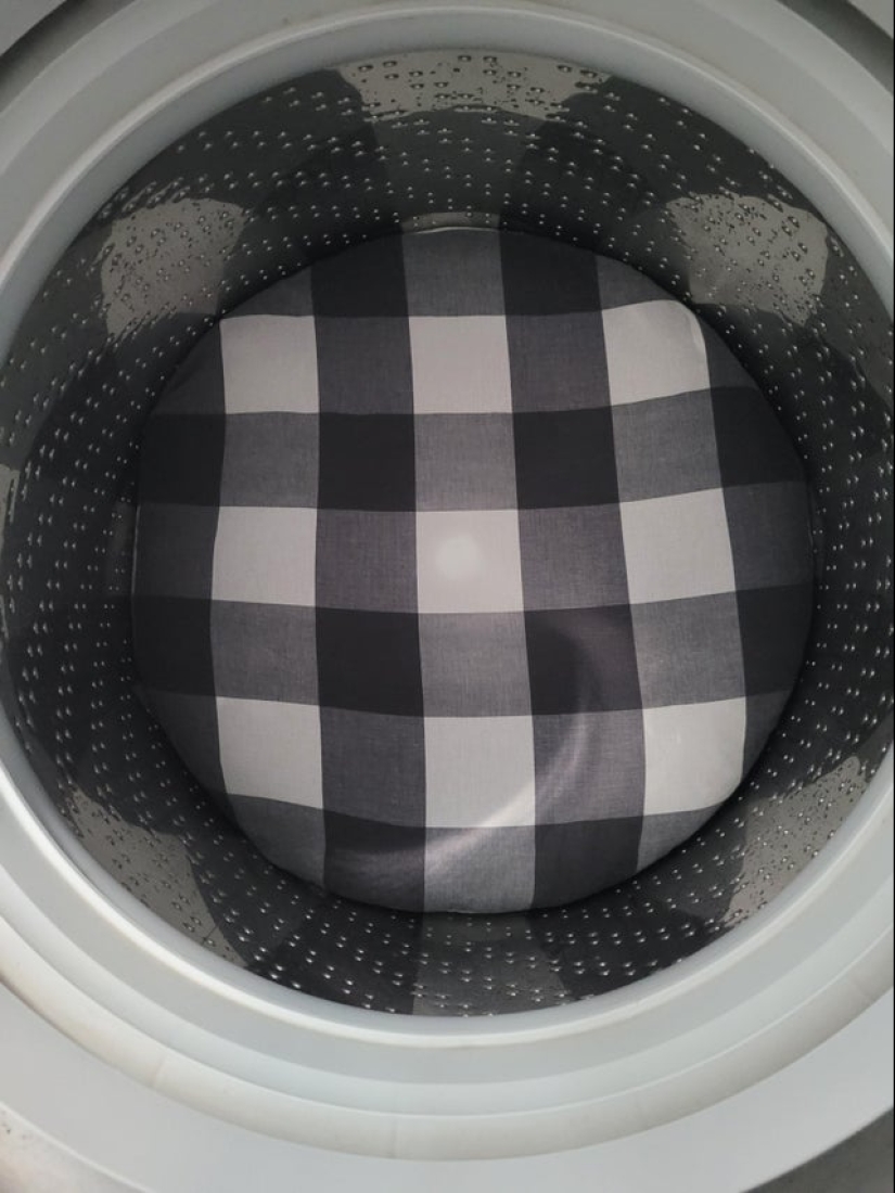 Perfectionists with love: 22 photos where everything is perfect