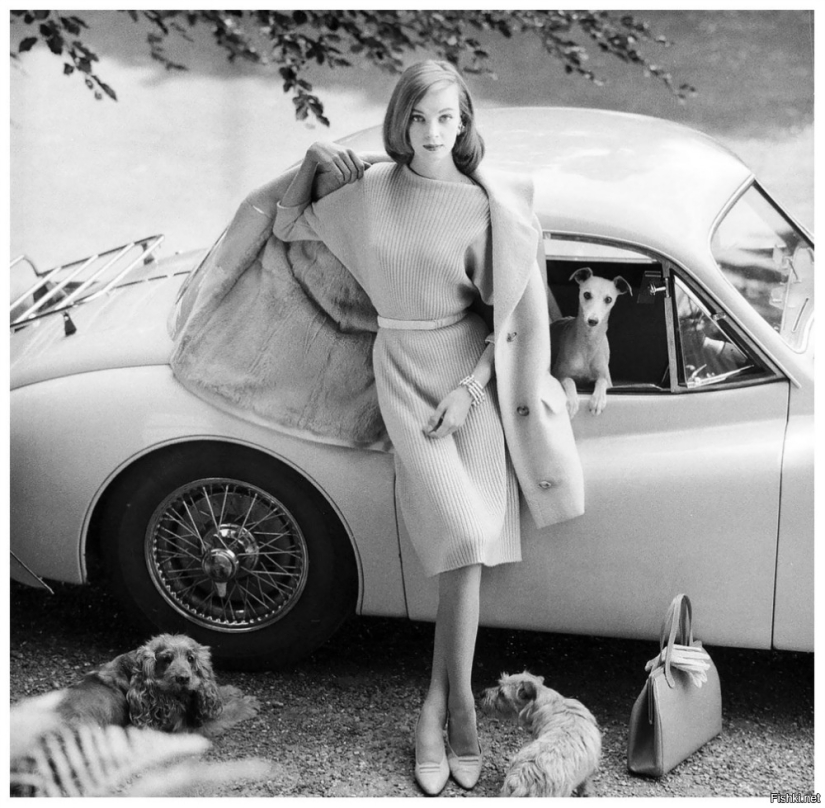 Perla de la dinastía de belleza escandinava: Nena von Schlebrugge, madre de Uma Thurman Perla de la dinastía de belleza escandinava: Nena von Schlebrugge, madre de Uma Thurman