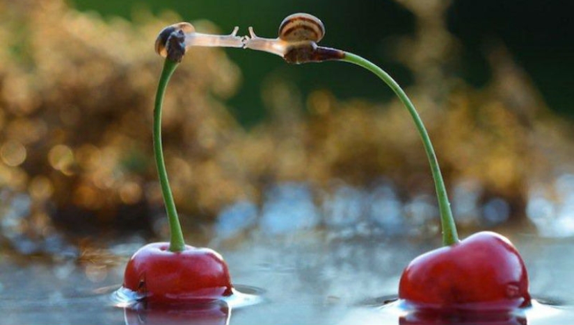 Personal life of snails Personal life of snails