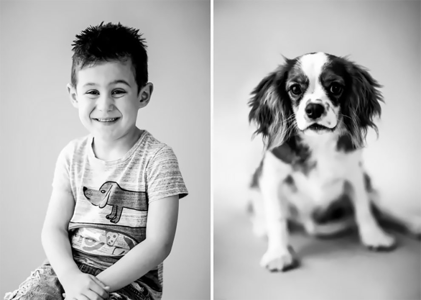 "Pet and I": the amazing similarity of the owners and their pets