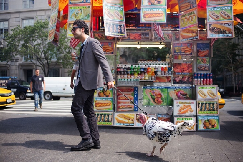 Photographer documents the beauty of new York