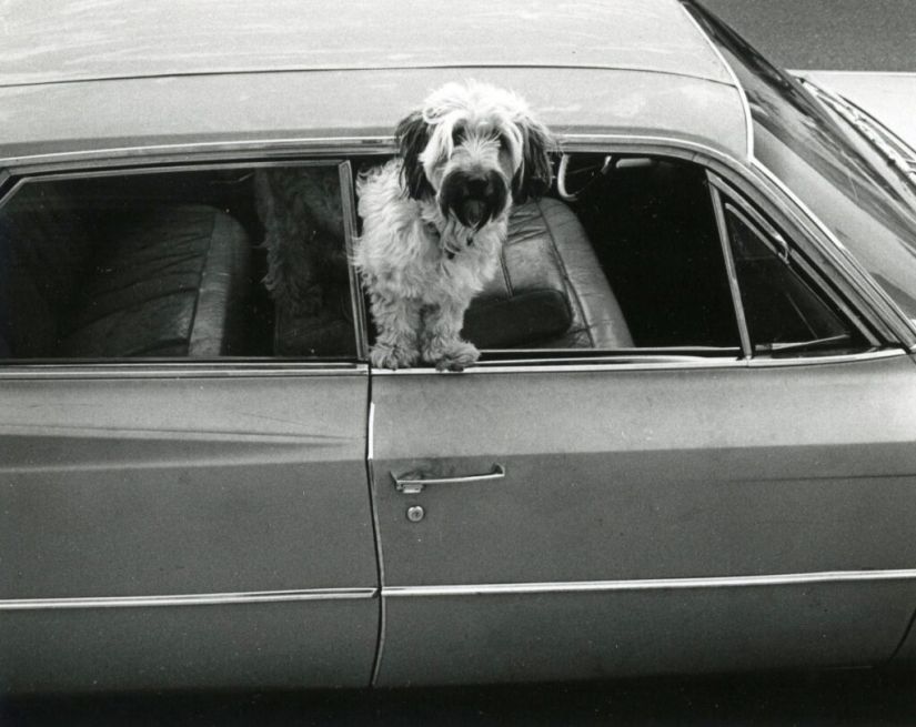 Photographer Gary Kruger is a virtuoso of moments, enchanted by the street