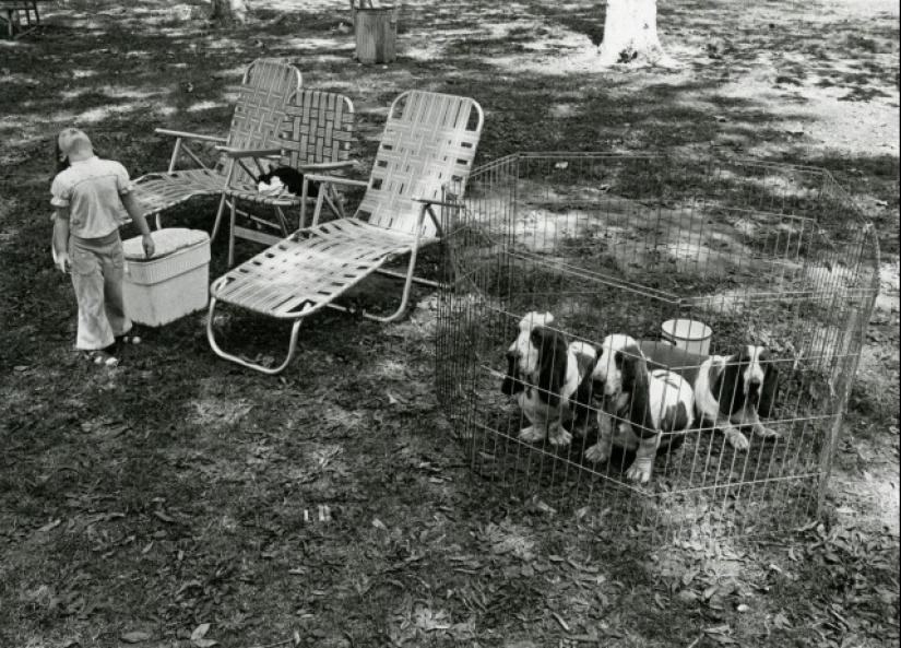 Photographer Gary Kruger is a virtuoso of moments, enchanted by the street