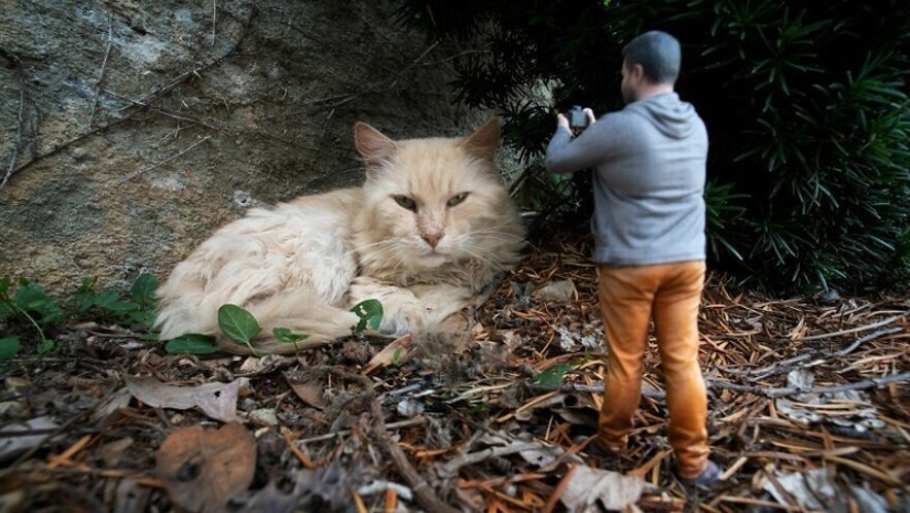 Photographer has turned into a 3D thumbnail to see the world in new ways