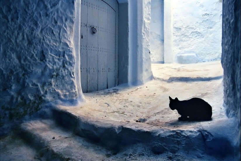 Photographer of 10 years, he traveled through the most beautiful places to capture the essence of the human